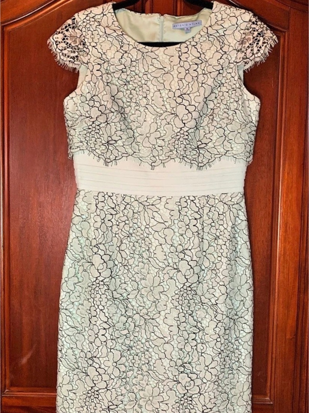 Antonio Melani Floral Lace Midi Dress in Blue & White Size 6